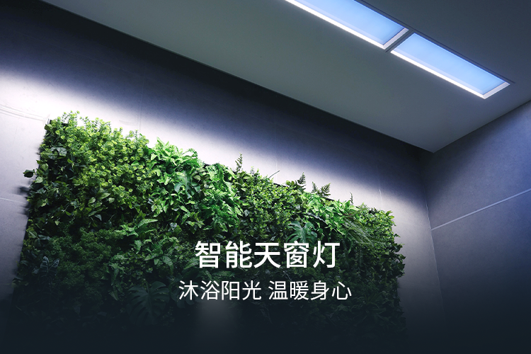 智能天窗灯 (2).png