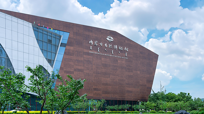 FBB00690-已增强-降噪-编辑712.png